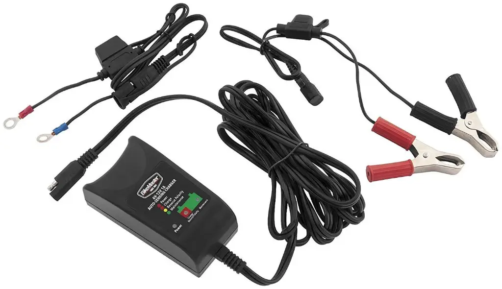 Cargador Bm Auto Sensing Charger