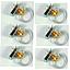 Tornillos Screw Type D-Ring Kit