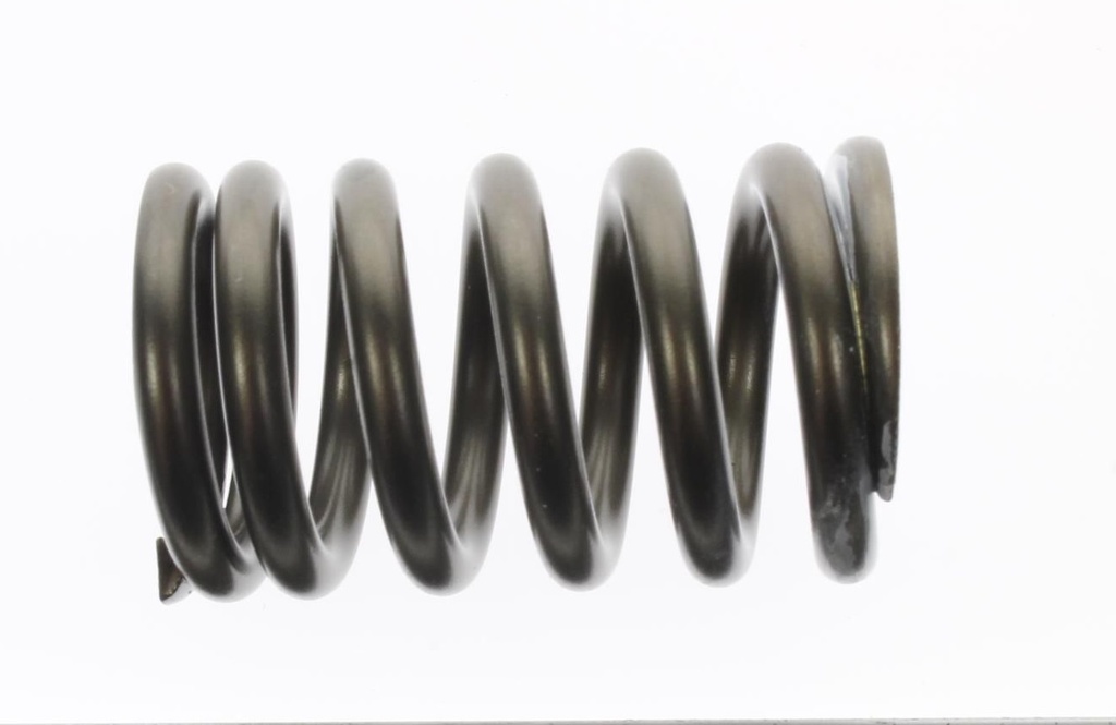  Resorte Yamaha Valvula Exterior