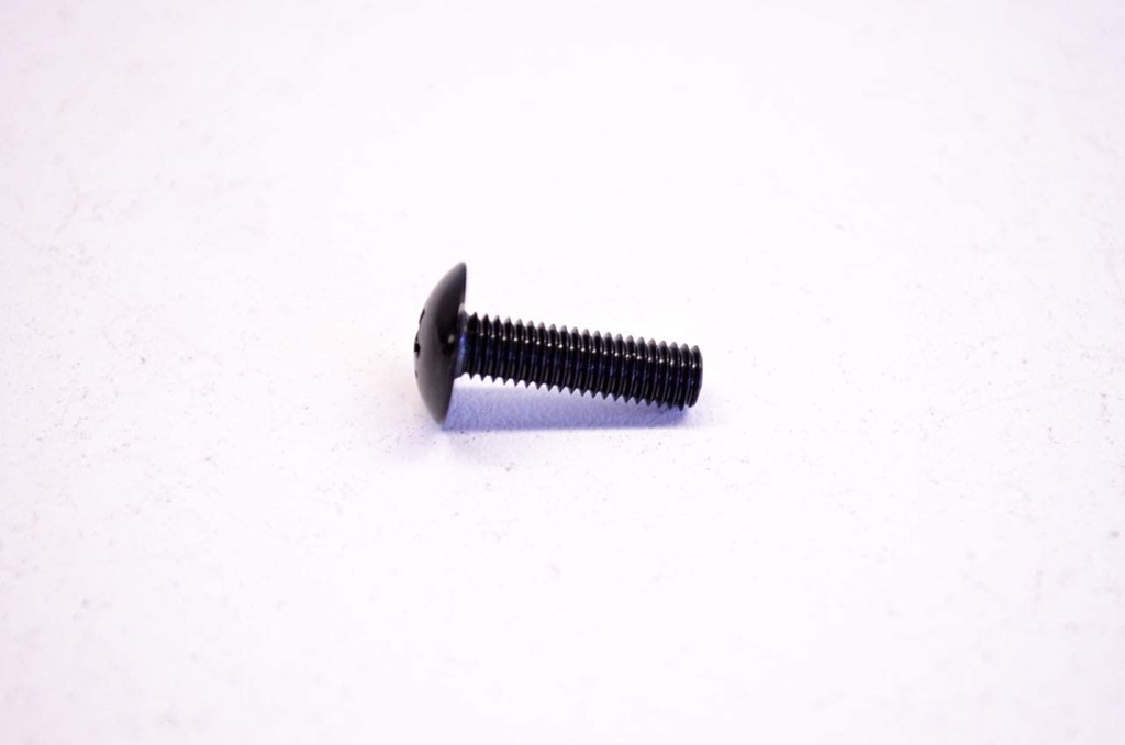 Tornillo Round Head(1ux)