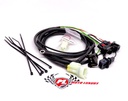 Harness Cambio Rapido /Quick Shifter Healtech BMW F800 / Multi / Hyper