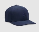 Gorra Fox Head Select Flexfit