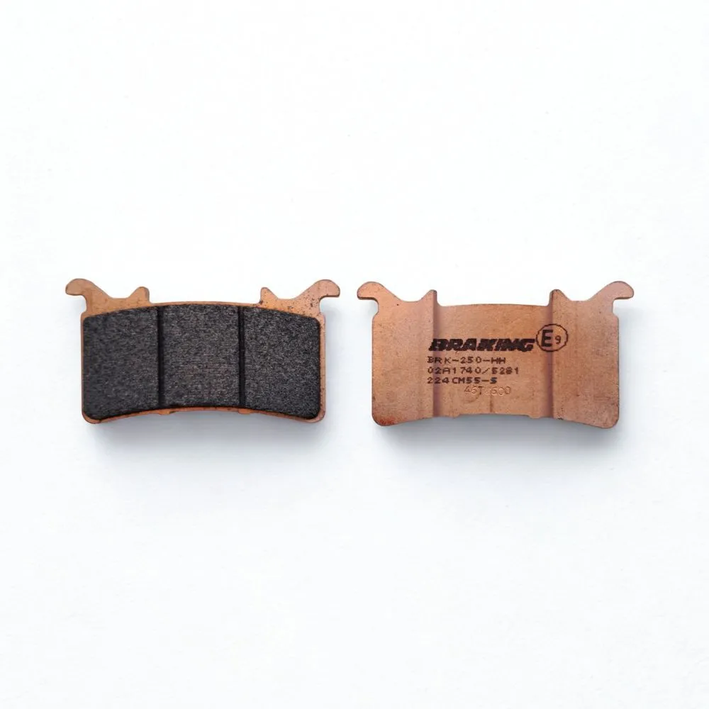 Pastillas Freno Delantera M1000R/RR 23-25 / Honda CBR1000RR R 20-23 /BMW S1000R/RR Calip Nissin