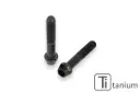 Kit Tornillos Cnc Mordaza Freno Delantero M10x1.25x55 (2 piezas) - Titanio