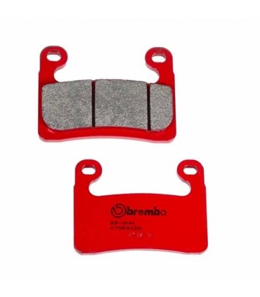 Pastilla de Freno Sinterizada BMW R 1250 GS / ADV /RT - S 1000RR / XR 19-