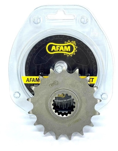 [166601-17] Piñon 525x17 Afam BMW F750GS17-22 / F850GS 17-21
 F900R 20-22 / F900XR 20-22