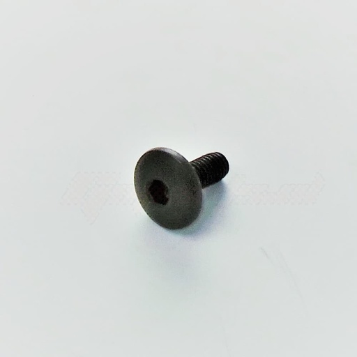 [AP8150500] Tornillo Hexagonal M5x9