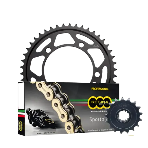 [43217+JTR10.45+137ZRP/1012] Kit Arrastre Regina BMW S1000XR 20-24 17x45 Cadena Pista 525 -128