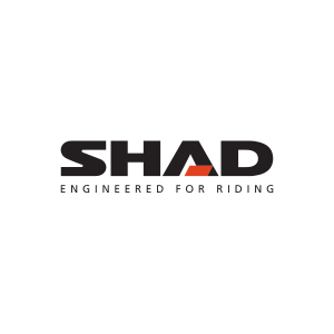 Shad